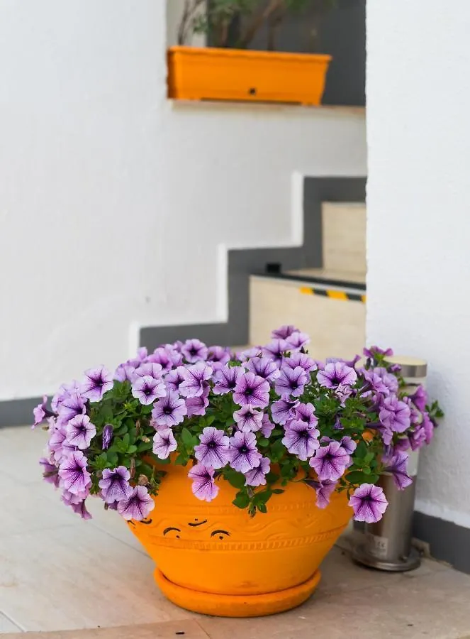7 Art Feslegen Hotel By Egeos Bodrum