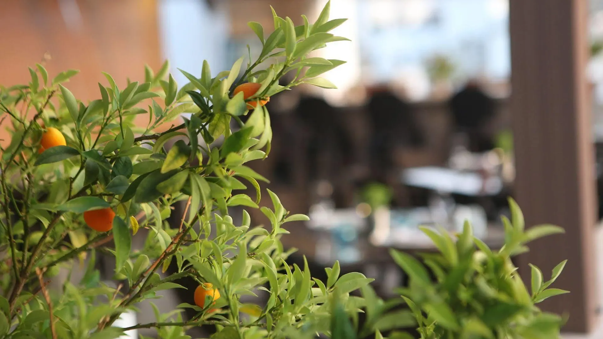 7 Art Feslegen Hotel By Egeos Bodrum